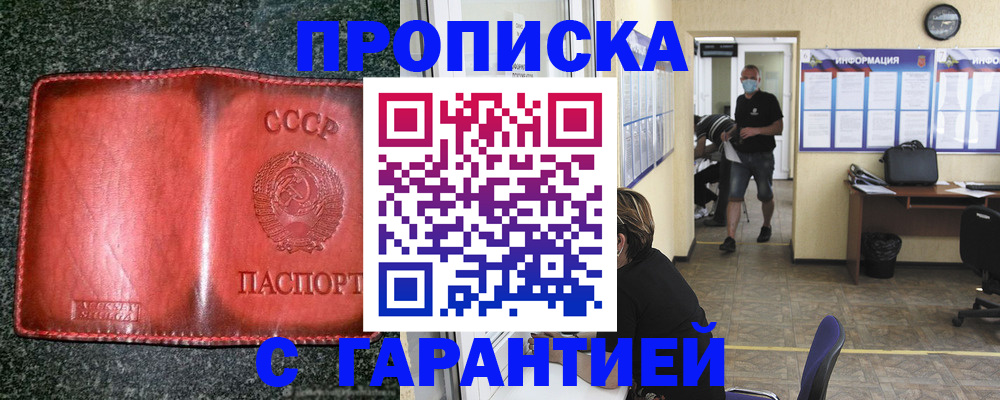 прописка гарантия в Заволжске